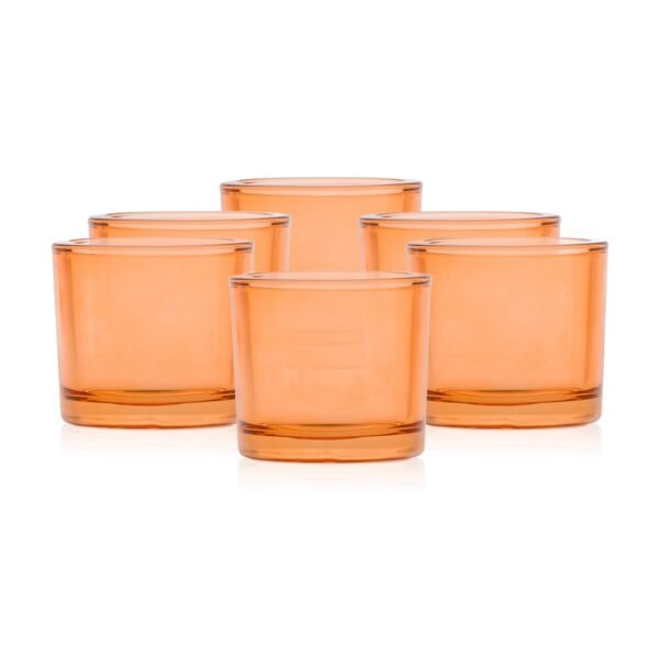 Oranžinis permatomas indelis 250ml