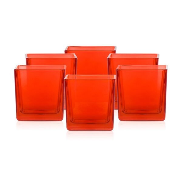 Oranžinis permatomas indelis 300ml